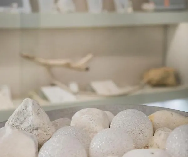 Hotel Captain's House Skala (Kefalonia)